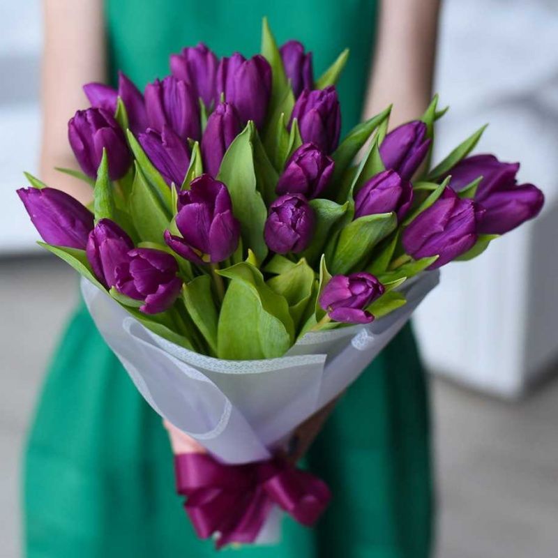 21 фиолетовый тюльпан в дизайнерской упаковке