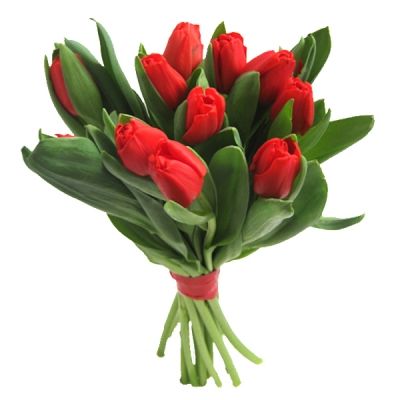 Букет красных тюльпаны