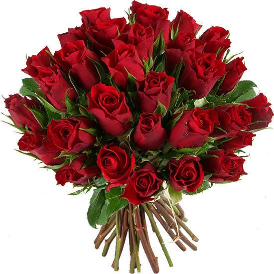 31 красная роза 50 см (Кения)
