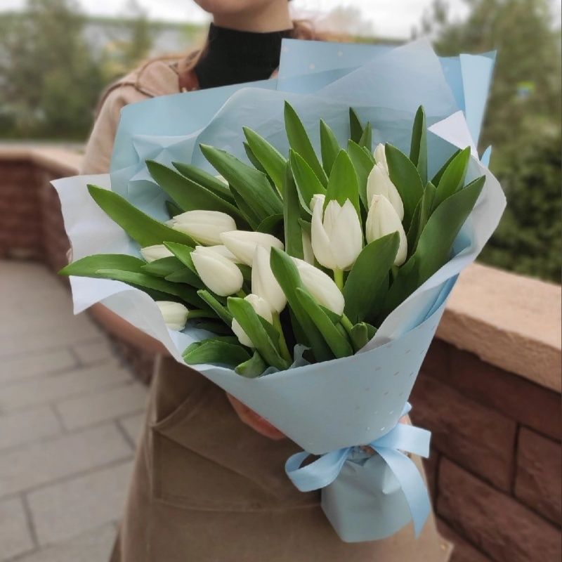 19 белых тюльпанов в дизайнерской упаковке