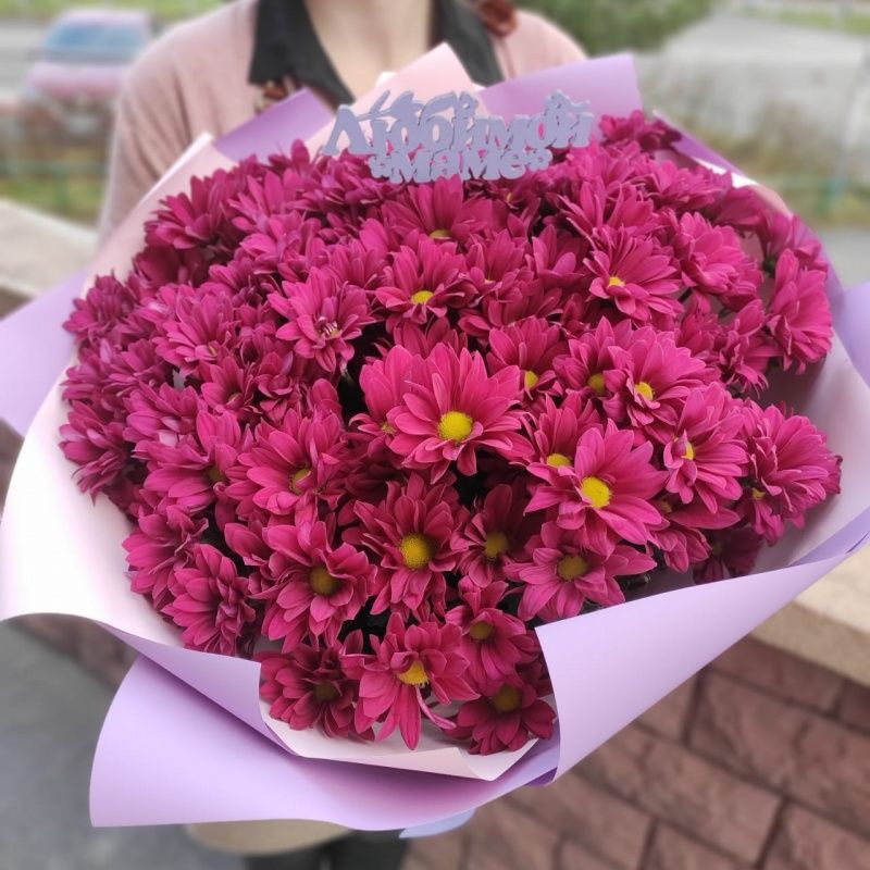 15 пурпурных хризантем с пожеланием